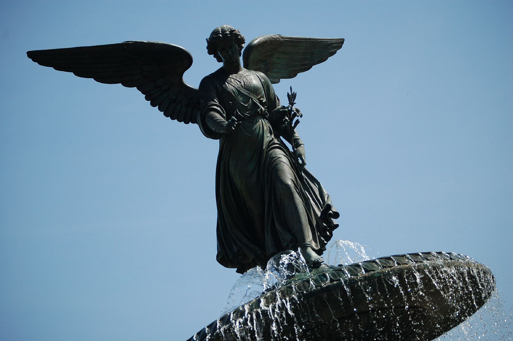 505385862_1aff847097_b