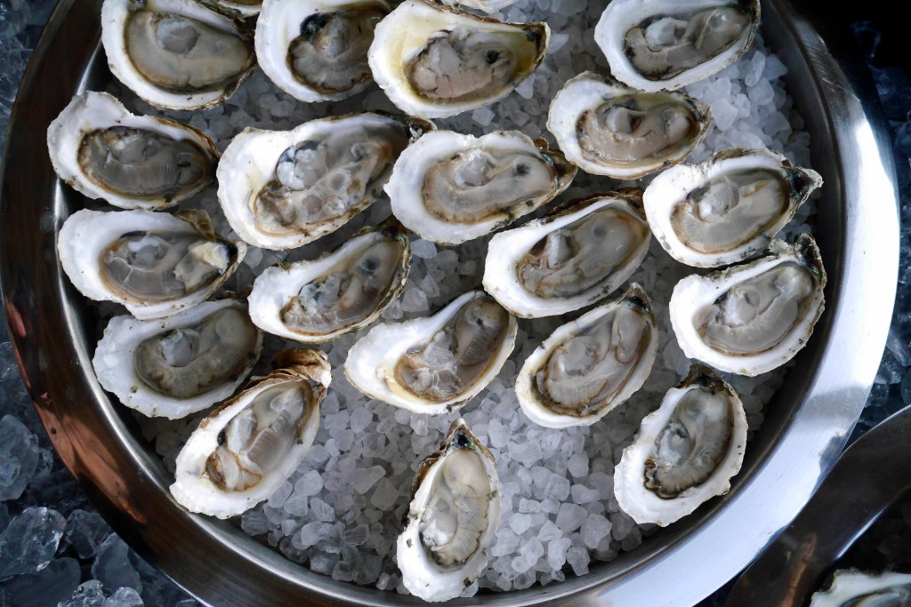 15879301295_4718b99e2d_k