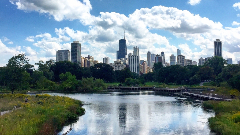 View of downtown Chicago skyline from Lincoln Park